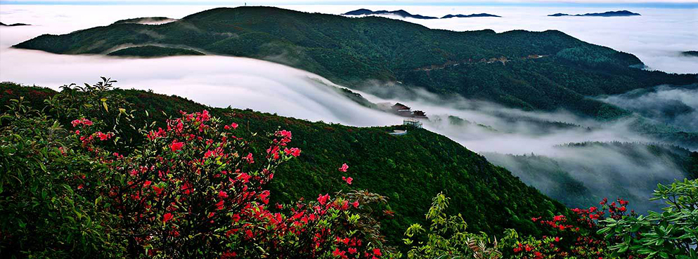 永州市-双牌县-阳明山国家森林公园/国家级自然保护区