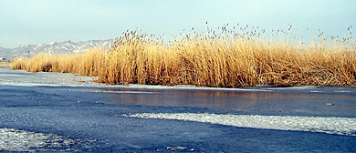 乌鲁木齐市-达坂城区-柴窝堡湖国家湿地公园