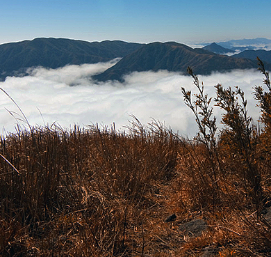 吉安市-遂川县-罗霄山·南风面（2120米）国家级自然保护区