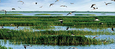 天津市-滨海新区-天津古海岸与湿地国家级自然保护区