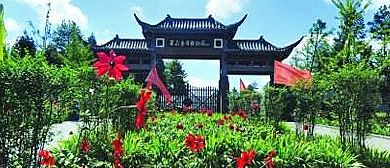 重庆市-石柱县-黄水镇-黄水药用植物园·中国黄连博物馆
