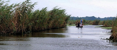 宿州市-泗县-石龙湖国家湿地公园