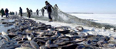白城市-镇赉县-哈尔淖渔场|旅游区|2A