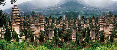 郑州市-登封市-嵩山·|唐|少林寺塔林