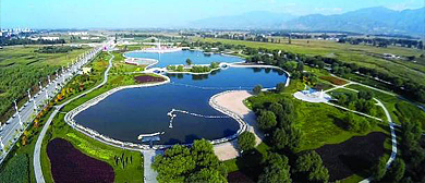 忻州市-代县-滹沱河湿地公园