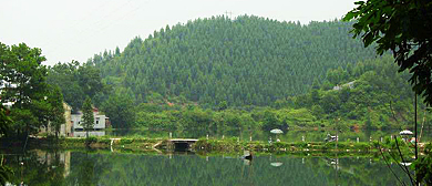 肇庆市-高要区-万有国家森林公园