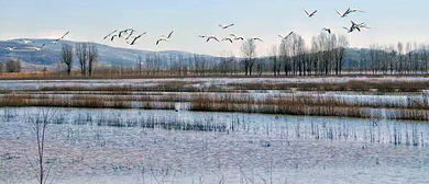 曲靖市-会泽县-大桥乡-念湖（黑颈鹤国家级自然保护区）国家湿地公园