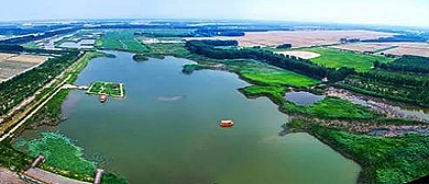 德州市-齐河县-黄河水乡国家湿地公园