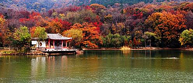 南京市-玄武区-钟山·紫霞湖风景旅游区