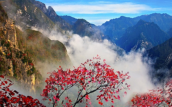 重庆市-巫溪县-兰英大峡谷（阴条岭国家级自然保护区）风景旅游区