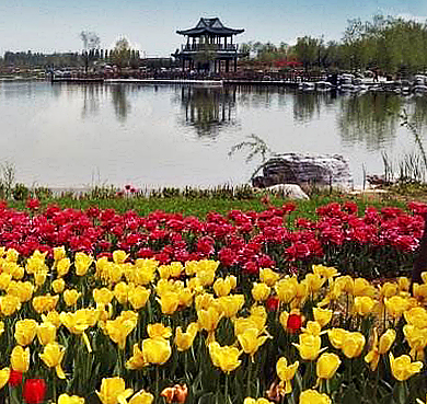北京市-顺义区-北京国际鲜花港·风景旅游区|4A