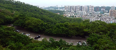 珠海市-香洲区-板樟山森林公园