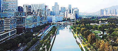 深圳市-南山区-大沙河生态风景区