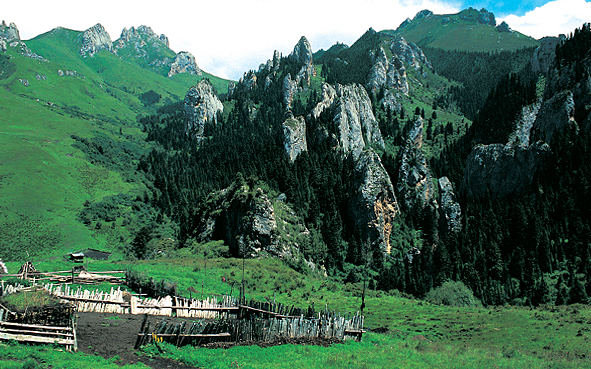 甘南州-碌曲县-拉仁关乡-则岔村-则岔石林国家级自然保护区
