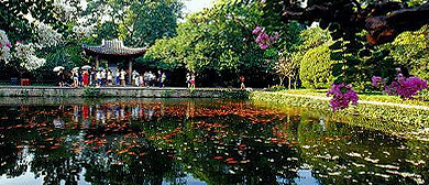 杭州市-西湖区-花港观鱼（|宋-清|西湖十景）风景旅游区