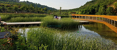 宝鸡市-扶风县-七星河国家湿地公园
