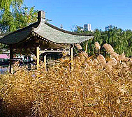 北京市-东城区-柳荫公园
