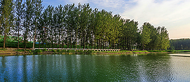 许昌市-长葛市-双洎河国家湿地公园