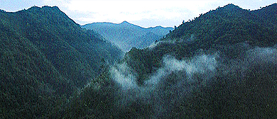 益阳市-安化县-六步溪国家级自然保护区