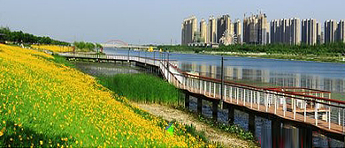 宿州市-埇桥区-汴河·滨河风景区