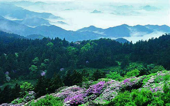 台州市-天台县-石梁镇-天台山·华顶（1098米）国家森林公园