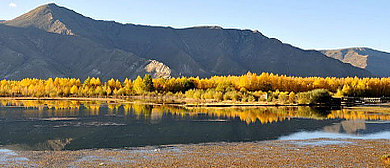 拉萨市-达孜区-塔杰乡-拉萨河（金色池塘）风景区