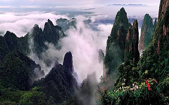 郴州市-宜章县-莽山乡-南岭·莽山（国家森林公园）国家级自然保护区|4A
