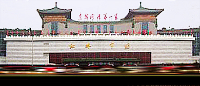北京市-东城区-天坛路-红桥市场