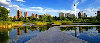 沈阳市-和平区-浑河·长白岛森林公园