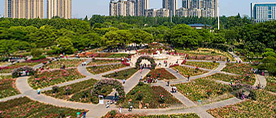 武汉市-青山区-和平公园