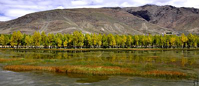 日喀则市-桑珠孜区-年楚河国家湿地公园