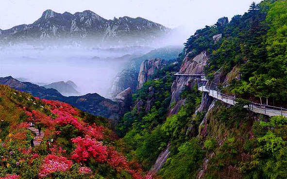 池州市-青阳县-九华山·花台（1299米）国家森林公园·国家地质公园