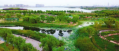 郑州市-中牟县-牟山湿地公园
