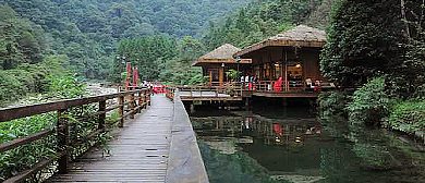 铜仁市-江口县-梵净山生态植物园·黔金丝猴保护站