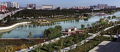 周口市-项城市区-水寨镇-驸马沟生态公园