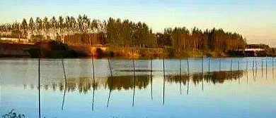 周口市-项城市-汾泉河国家湿地公园