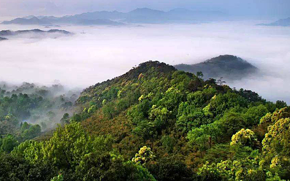 湖州市-安吉县-章村镇-龙王山（1587米）风景区