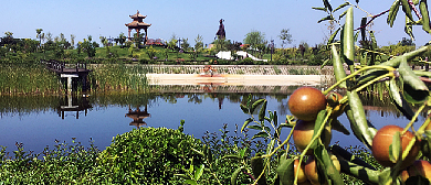 渭南市-大荔县-中国枣文化博览园
