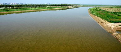 渭南市-临渭区-渭南渭河生态湿地公园