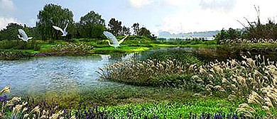 成都市-新津县-白鹤滩国家湿地公园