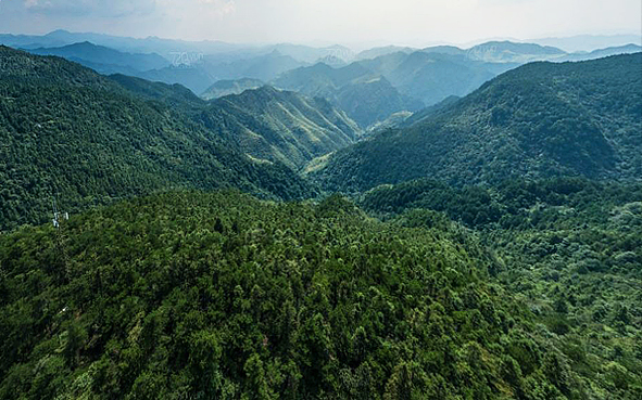 金华市-磐安县-大盘山（1245米·国家级自然保护区）国家级风景名胜区