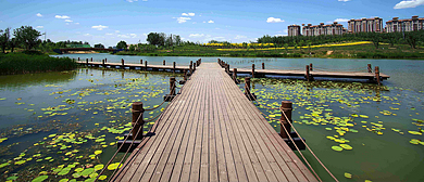 北京市-朝阳区-萧太后河·马家湾湿地公园