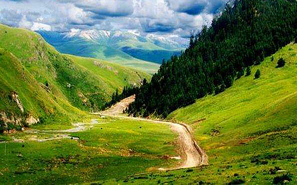 甘孜州-白玉县-察青松多（白唇鹿）国家级自然保护区