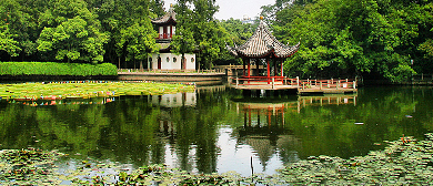 上海市-嘉定区-嘉定镇-汇龙潭公园