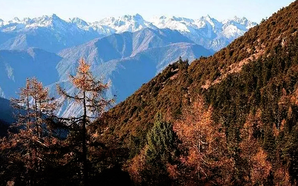甘孜州-得荣县-嘎金雪山（嘎金藏岗主峰·4921米）风景区