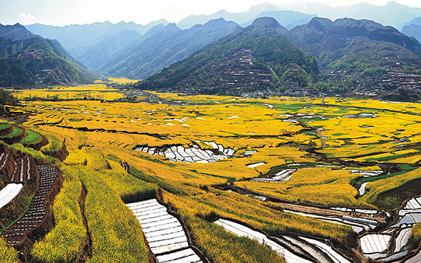 凉山州-越西县-越西油菜花海风景区（越西油菜花节）