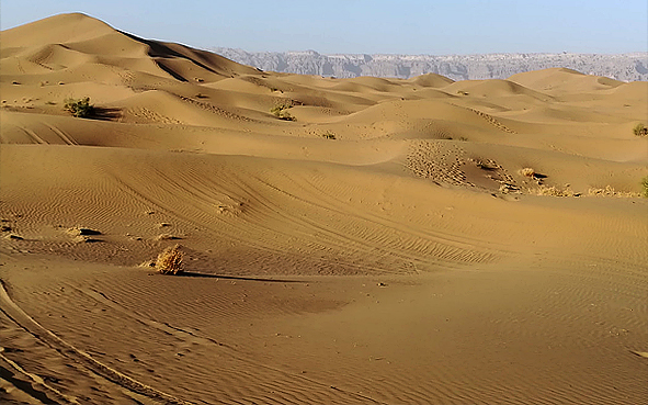 喀什地区-巴楚县-塔克拉玛干沙漠风景区