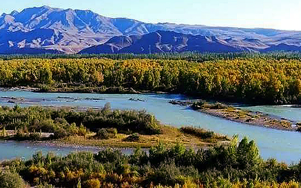 伊犁州-尼勒克县-湿地古杨（喀什河）风景旅游区|4A
