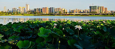 成都市-武侯区-锦城湖·锦城公园