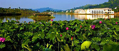 重庆市-铜梁区-土桥镇-荷和原乡·爱莲湖（万亩荷花）湿地公园